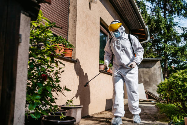 Best Wasp Removal Services  in Varnell, GA